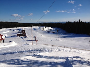 Klubbrenn 14 mars, Skicross fristil